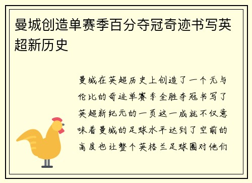 曼城创造单赛季百分夺冠奇迹书写英超新历史