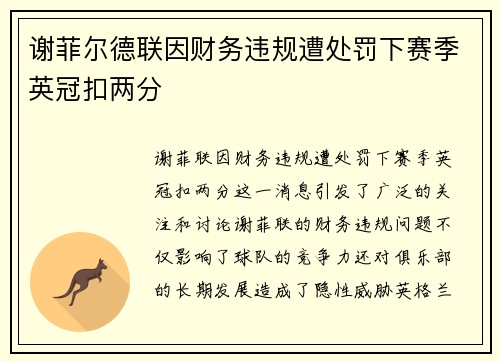 谢菲尔德联因财务违规遭处罚下赛季英冠扣两分