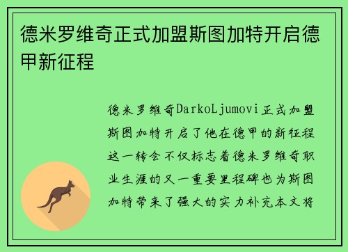 德米罗维奇正式加盟斯图加特开启德甲新征程 德米罗维奇正式加盟斯图加特开启德甲新征程