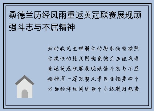 桑德兰历经风雨重返英冠联赛展现顽强斗志与不屈精神